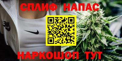 мяу мяу мука Тара