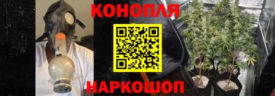 мяу мяу мука Тара