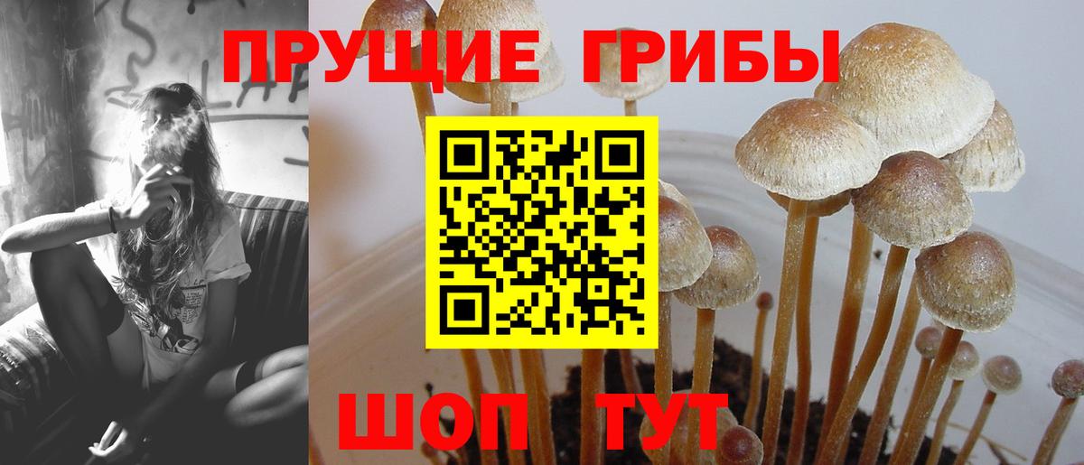 Новочебоксарск  Псилоцибиновые грибы MAGIC MUSHROOMS  Вход с VPN  Галлюциногенные грибы мухоморы 